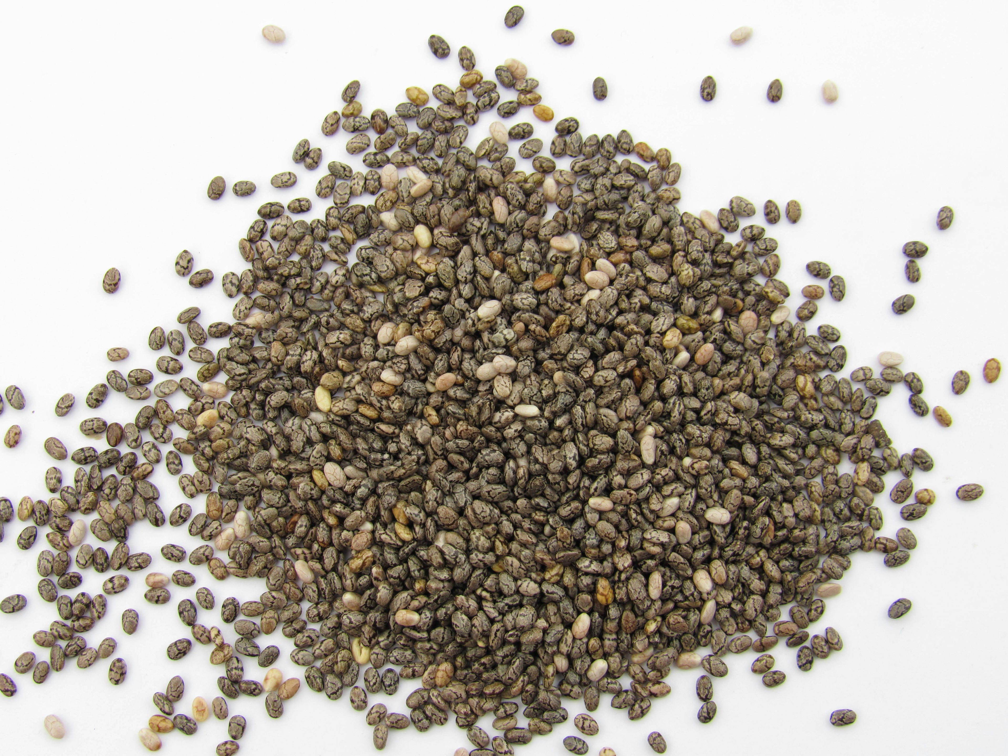 Premium Chia Seeds – Omega-3 Rich Superfood for Energy & Wellness
